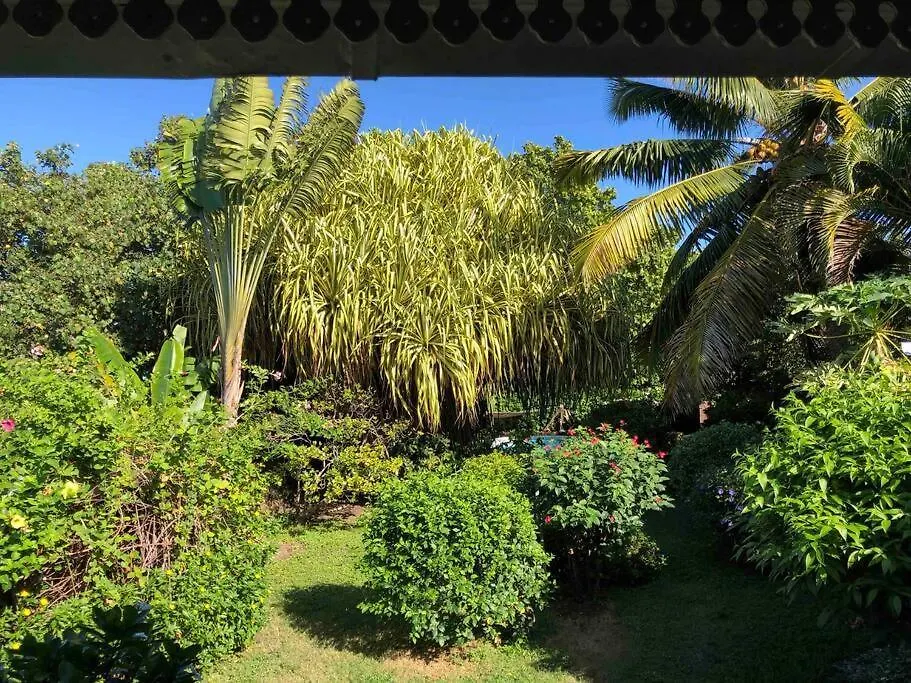 Cottage Bord De Mer 普纳奥亚 法属玻利尼西亚